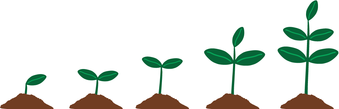 Illustration of plants